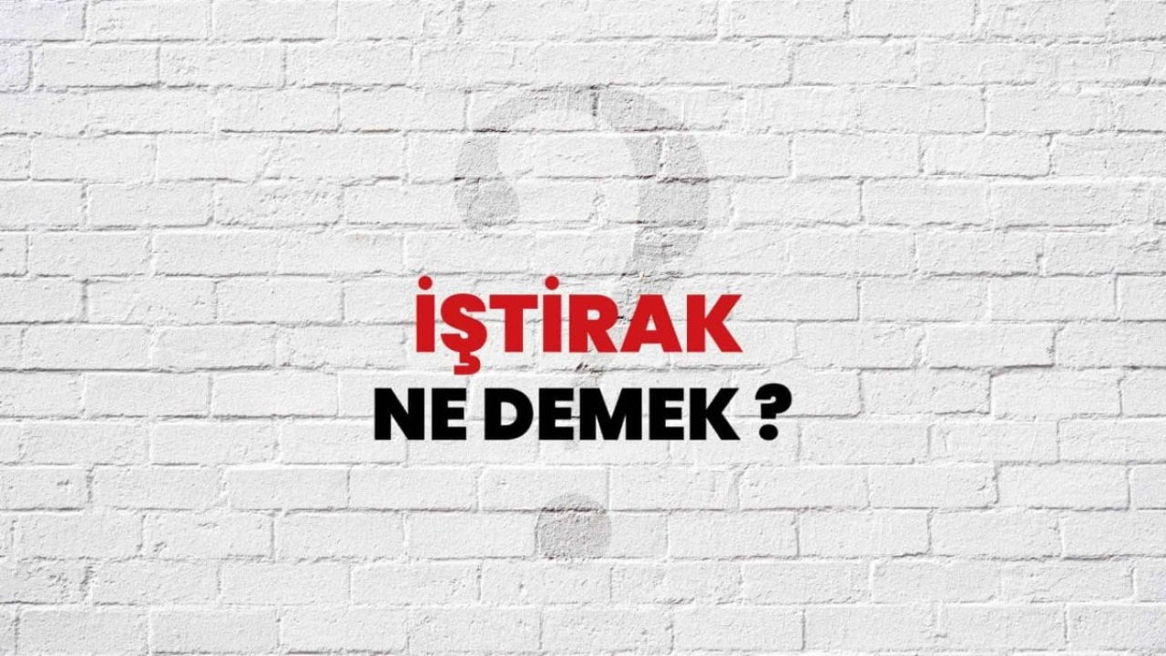 İştirak Ne Demek: Şirketler Arası Ortaklık İçin Bir Kılavuz