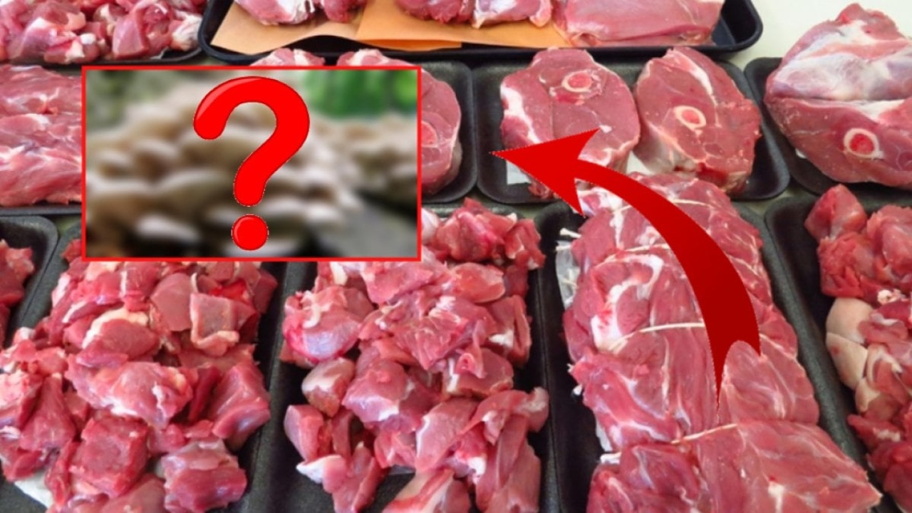 Etten 10 kat fazla protein içeriyor! Üstelik fiyatı da çok ucuz, lezzeti ve faydası kırmızı etle yarışıyor