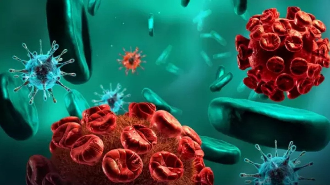 Hepatit Nedir?