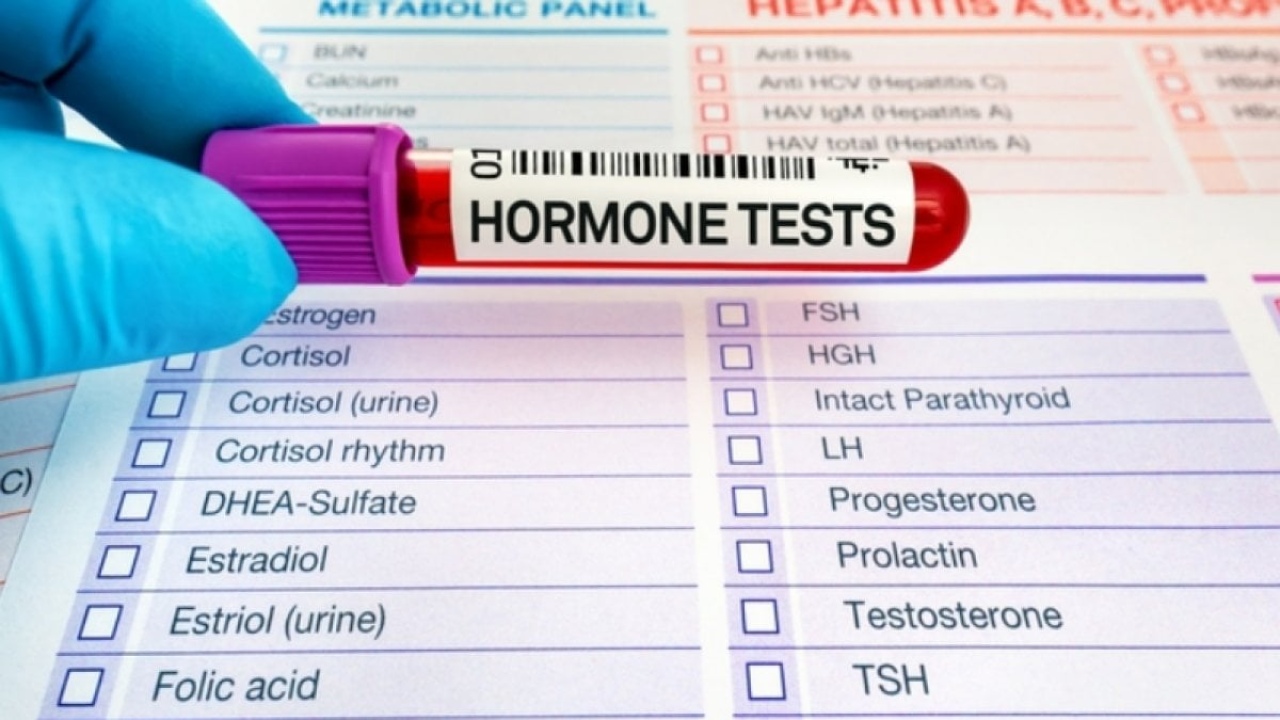 Hormon Testi Nedir? Vücut Sağlığınızı Anlamanın Anahtarı