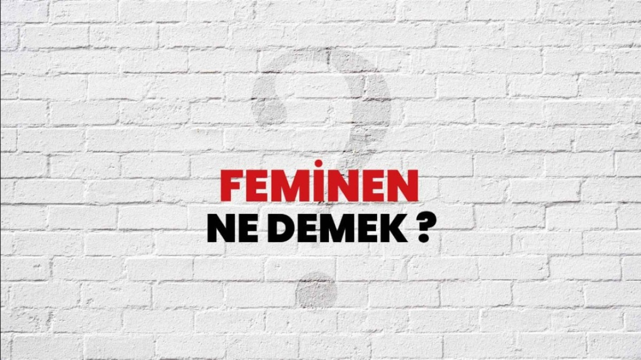 Feminen Ne Demek: Anlamı, Özellikleri ve Toplum Üzerindeki Etkileri