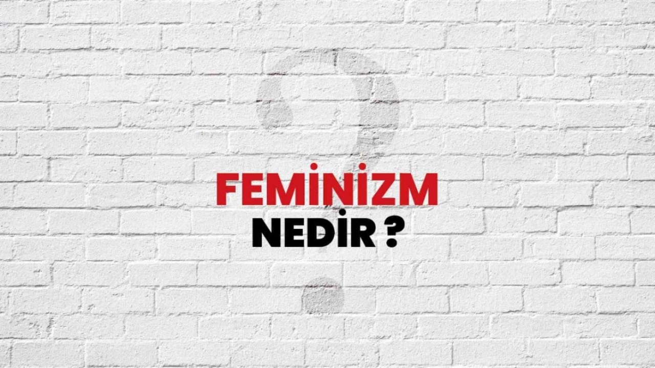 Feminizm Nedir: Toplumsal Cinsiyet Eşitliği Mücadelesi