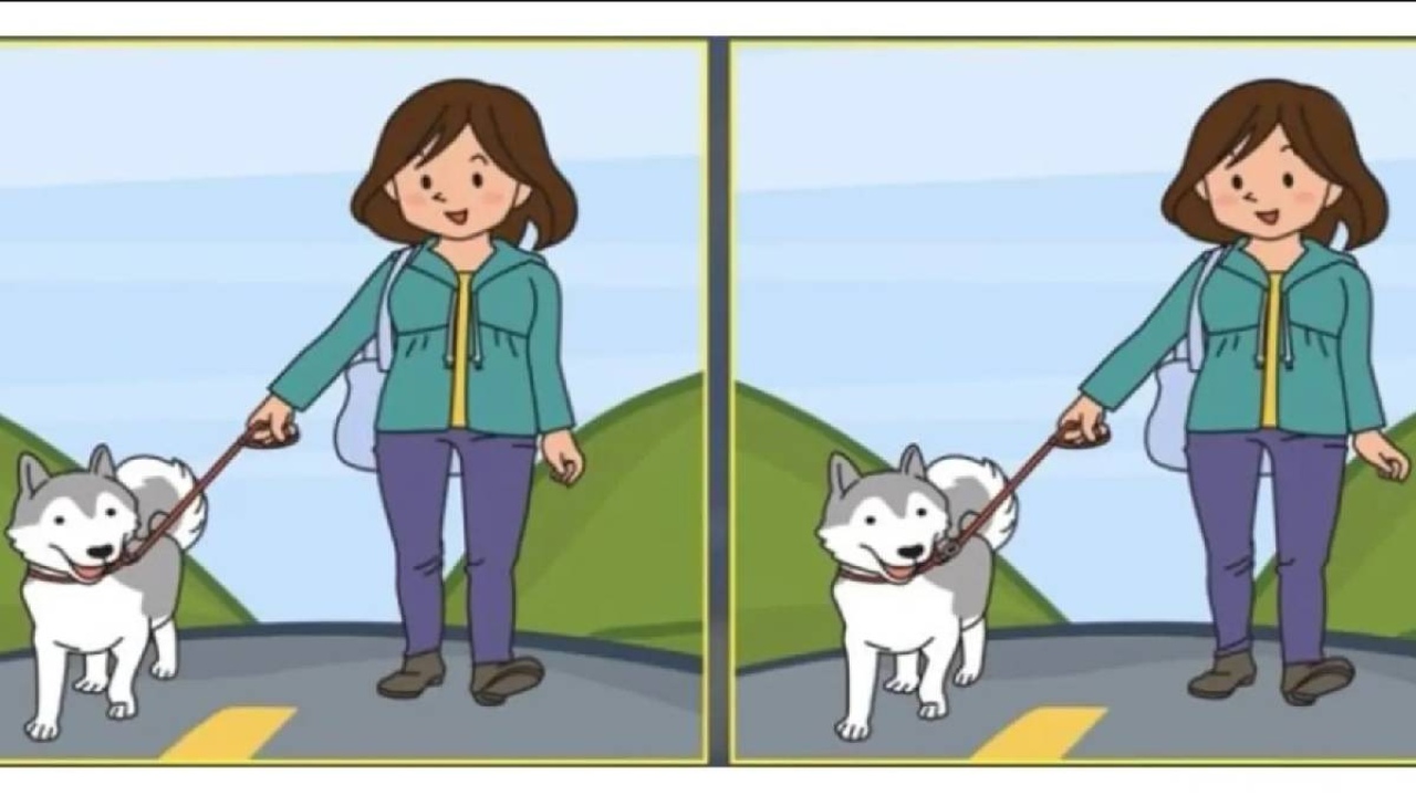 Köpek gezdiren kadınlar arasında tam 5 fark var! Peki siz bu farkları 16 saniyede bulabilir misiniz? Zekasına 