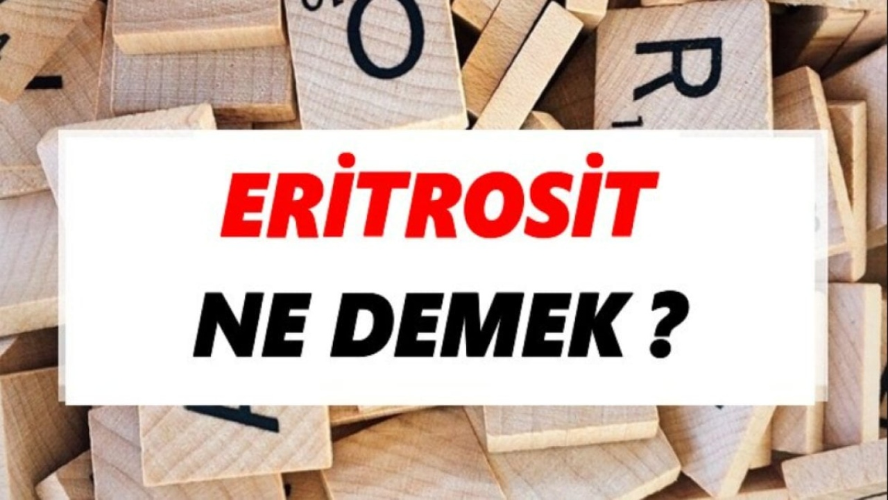 Eritrosit Ne Demek? - Kanda Taşıyan Gizemli Varlıklar