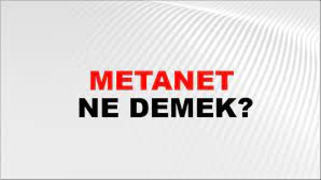 Metanet ne demek?