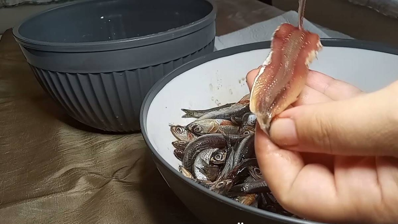 Hamsinin kılçığını atıp yiyen pişman olacak! Asıl faydası orada çıktı: Yararını duyanlar kılçığıyla lop lop yu