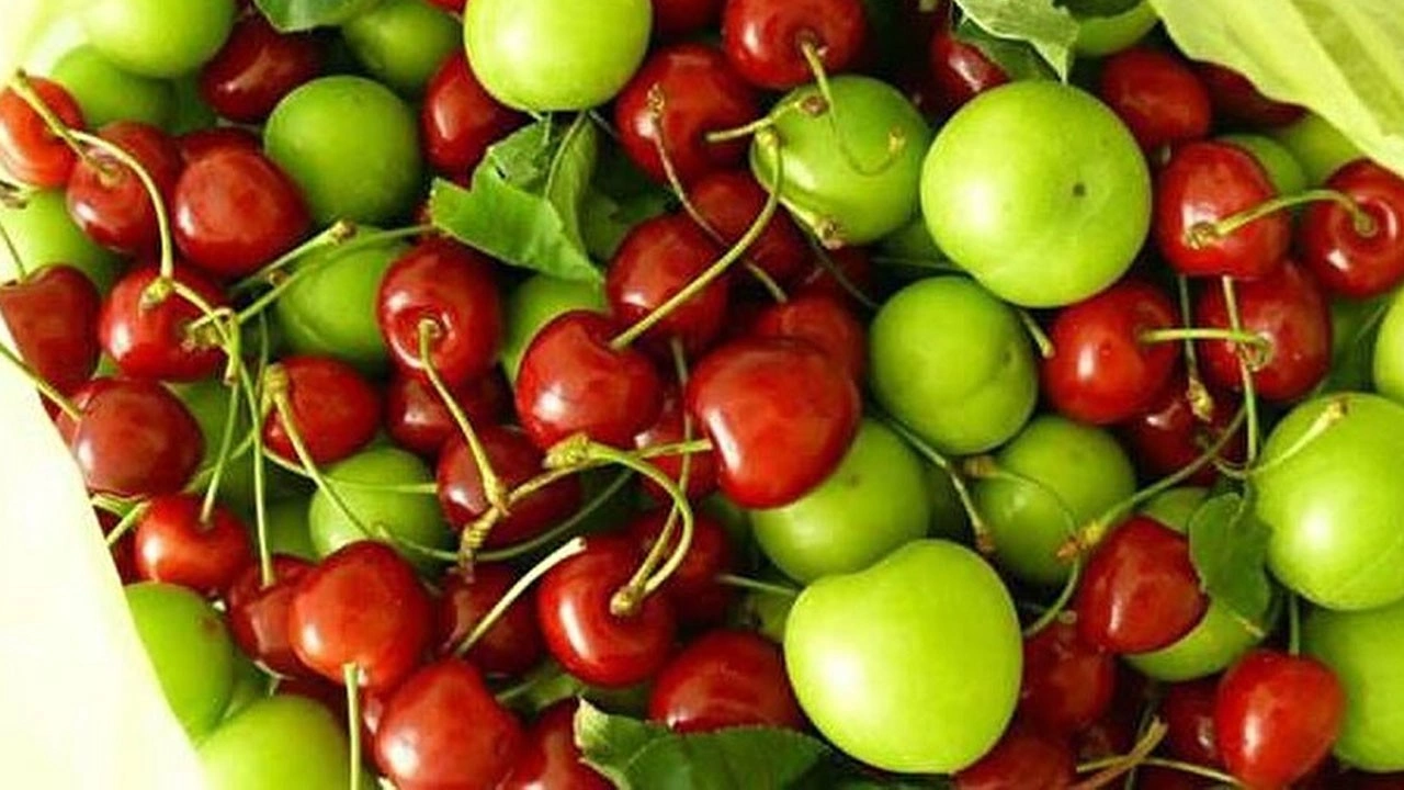 Erik ve kiraz çeyrek altınla yarışıyor! Fiyatı görenler gözlerine inanamadı