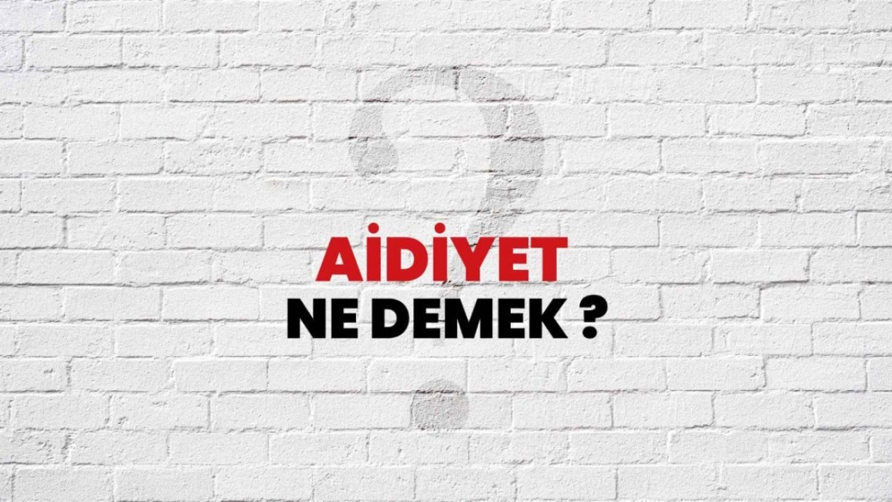 Aidiyet Ne Demek?