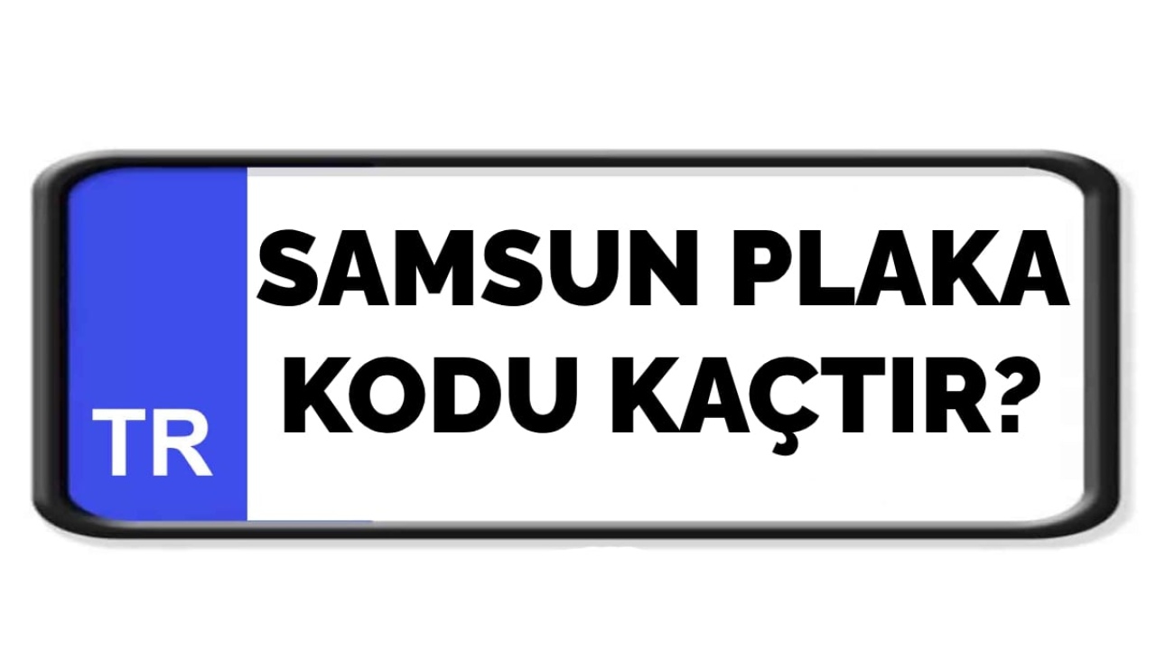 Samsun plaka kodu