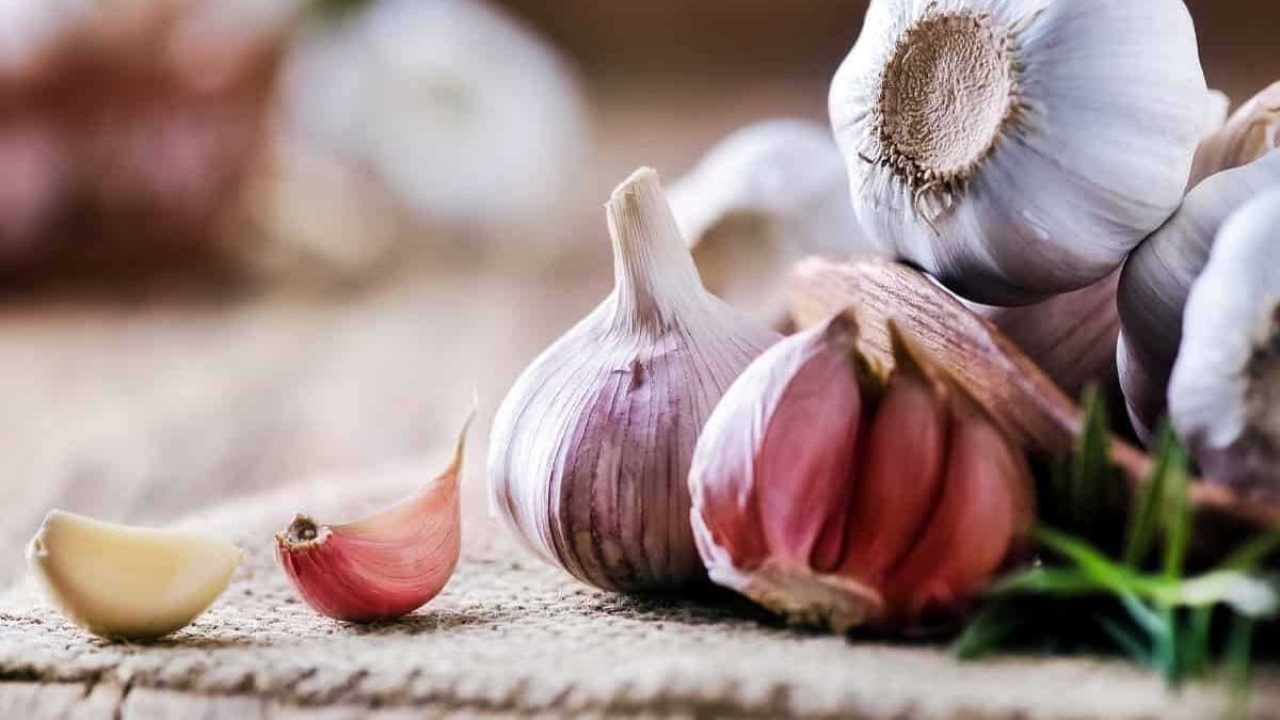 Sarımsak yararları