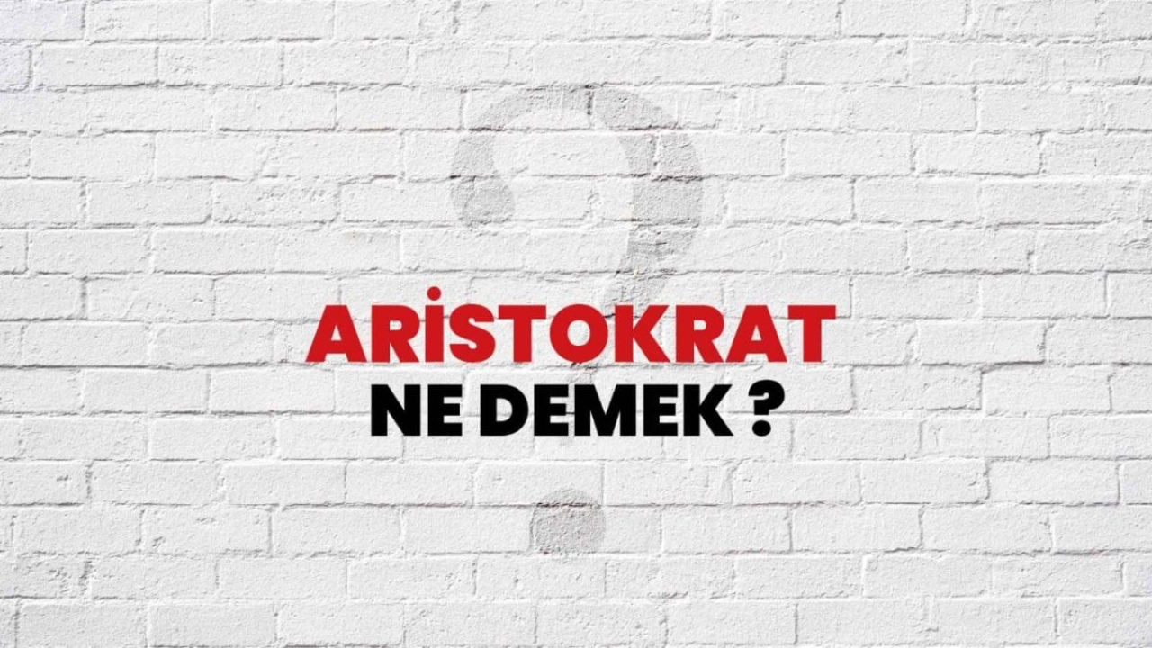 Aristokrat Ne Demek: Kökeni ve Anlamı