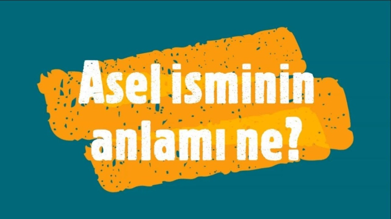 Asel Ne Demek? - Türkçede Bir İsimin Anlamı