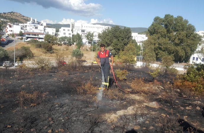 Bodrum’da, makilik alanda yangın çıktı
