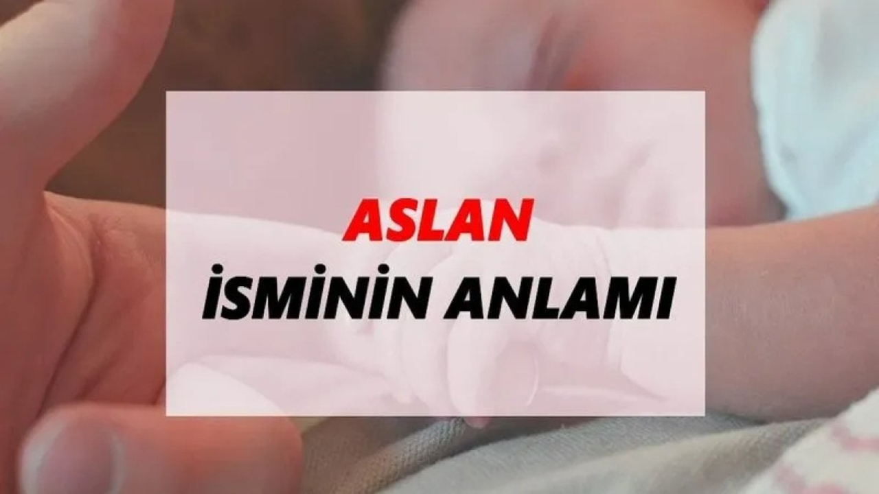 Aslan İsminin Anlamı - Güç, Cesaret ve Bilgelik Simgesi