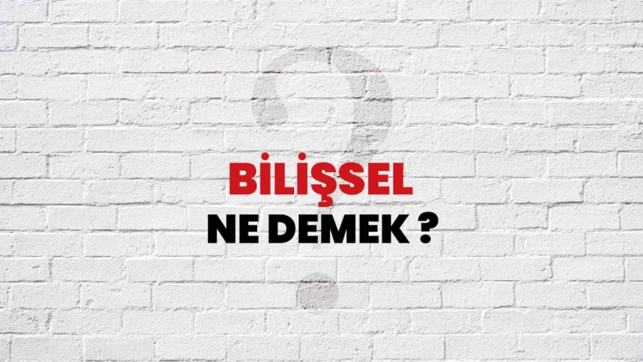 Bilişsel Ne Demek? - Kavramsal Bir İnceleme