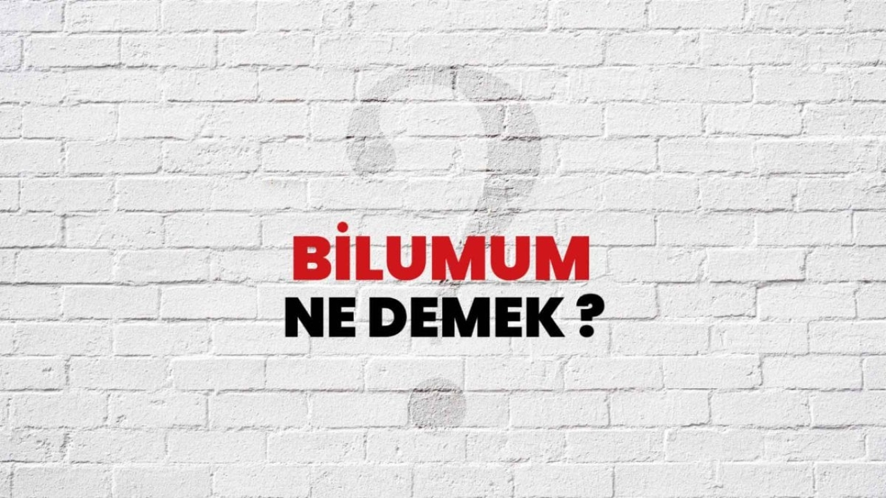 Bilumum Ne Demek: Türk Dilinde Kullanılan İlginç Bir İfade