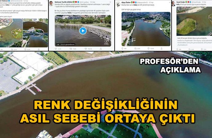 AKP’lilerin attığı çamur Profesör’den döndü