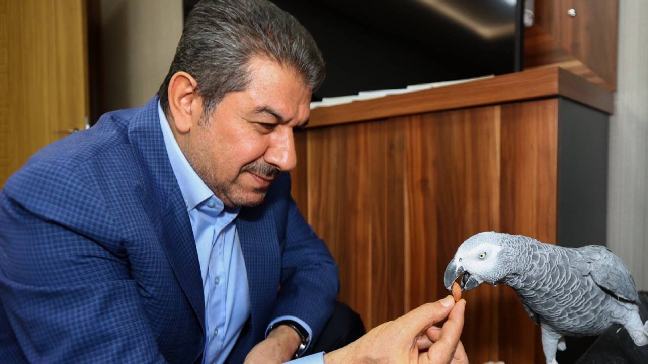 Ruh sağlığı hastaları Göksu’ya emanet: Meclisi’nden yetki aldı