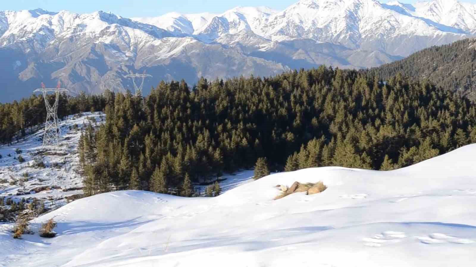 Erzurum’da granit ocağına tepki: 
