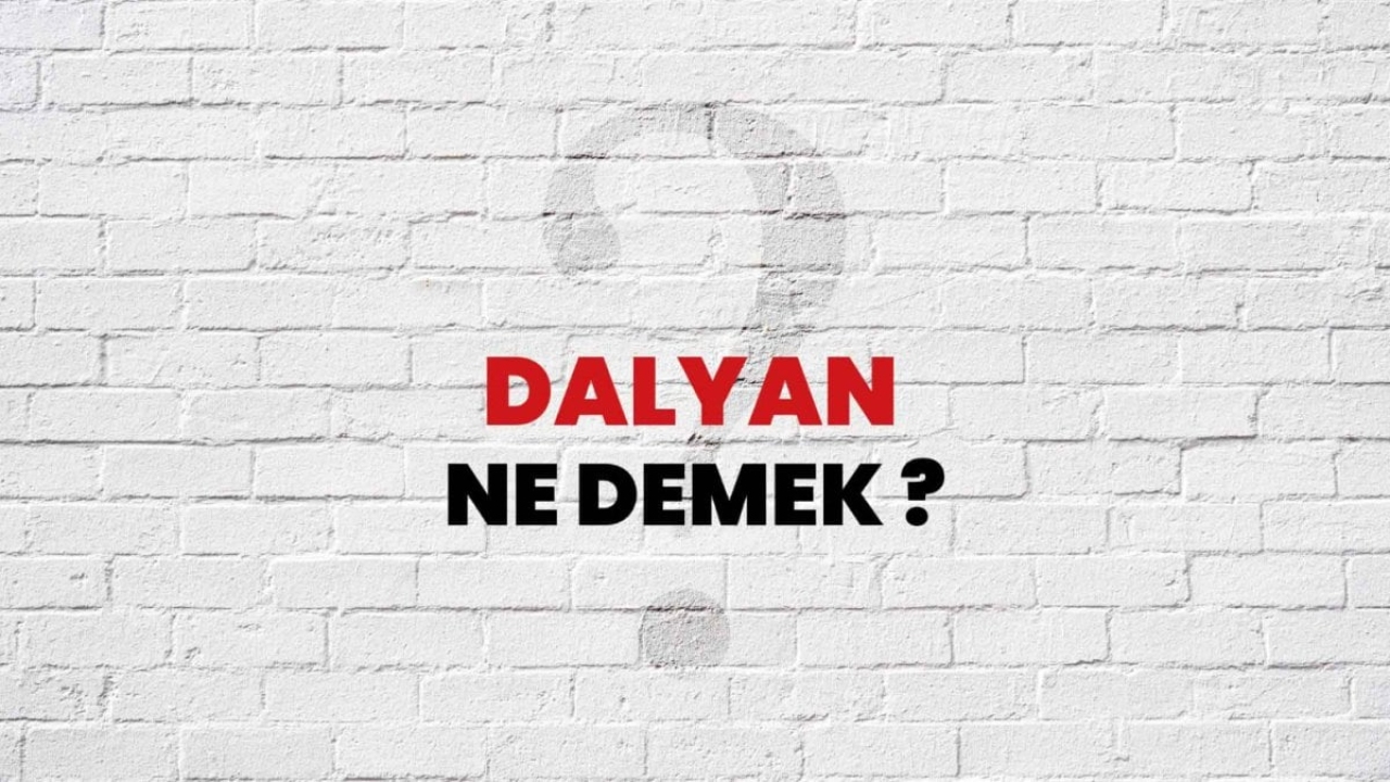 Dalyan Ne Demek: Türkçede Anlamı ve Önemi