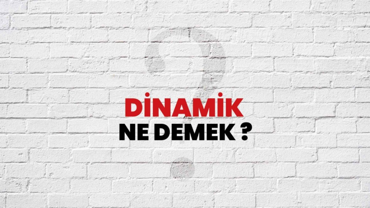 Dinamik Ne Demek?