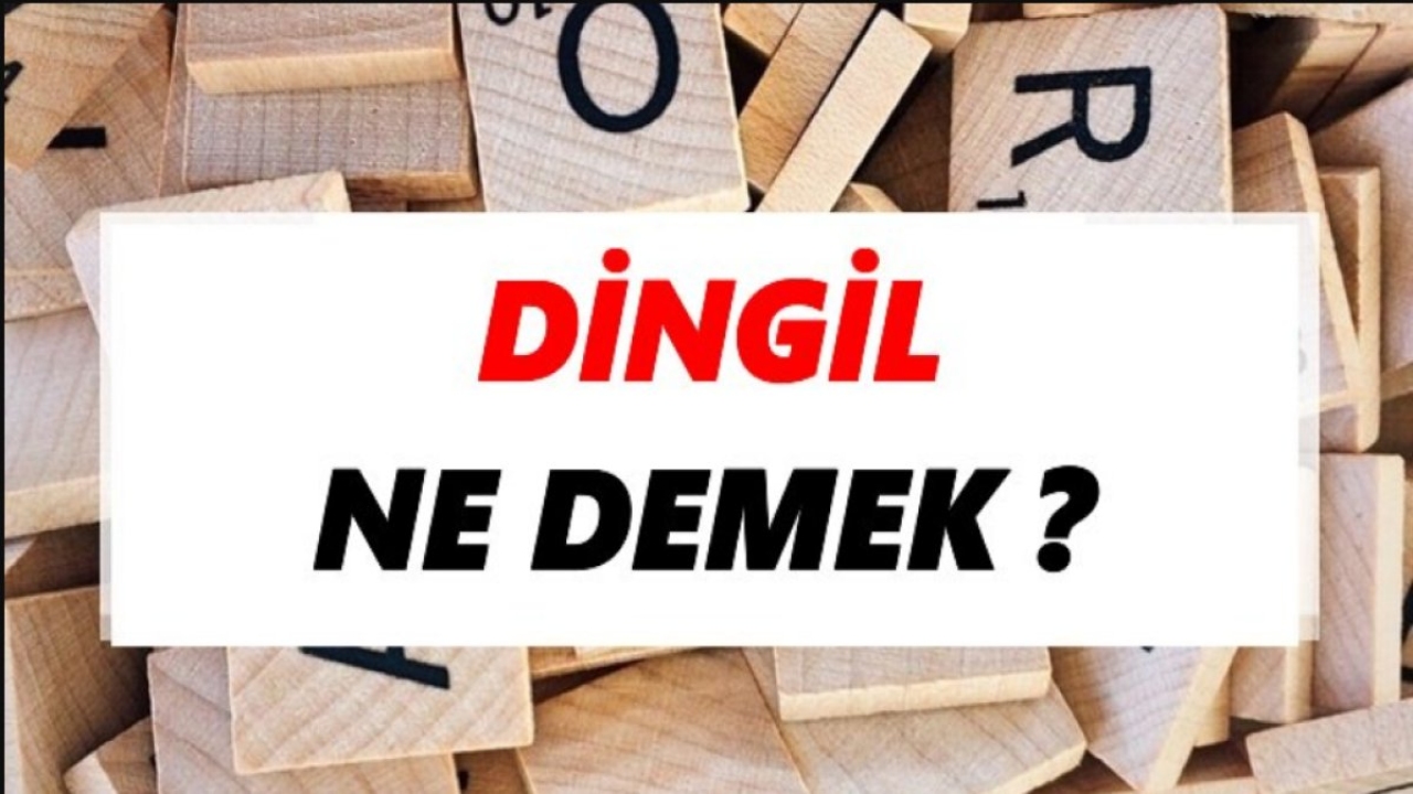 Dingil Ne Demek? - Türkçede Bir Sıkça Sorulan Soru