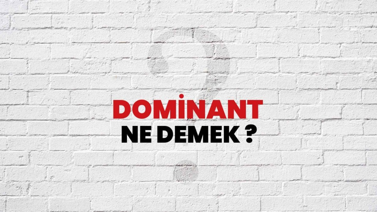 Dominant Ne Demek?