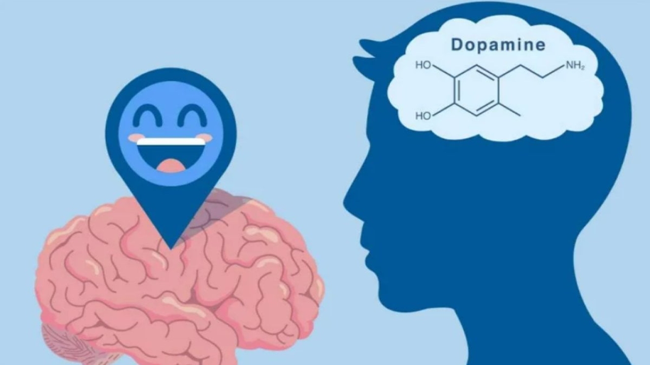 Dopamin: Beynimizdeki Mutluluk Hormonu