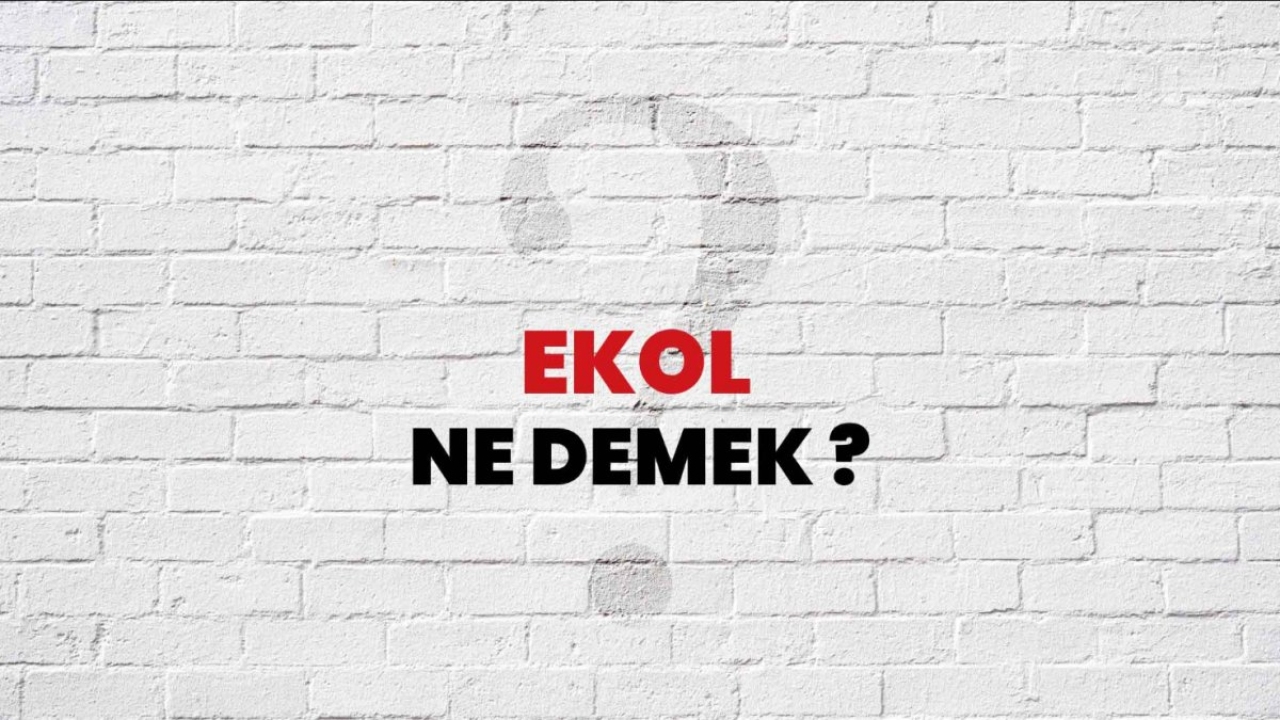 Ekol Ne Demek? Türkçede Ekolün Anlamı ve Önemi