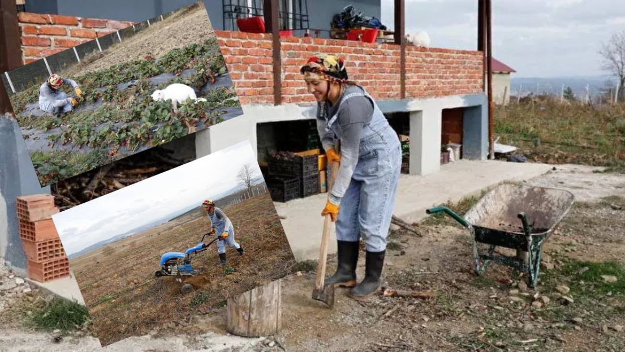 Şehir hayatından vazgeçti köyüne yerleşti! 6 bin tane dikip köşeyi döndü: Yıllık karı tam 3 milyon liraya ulaş