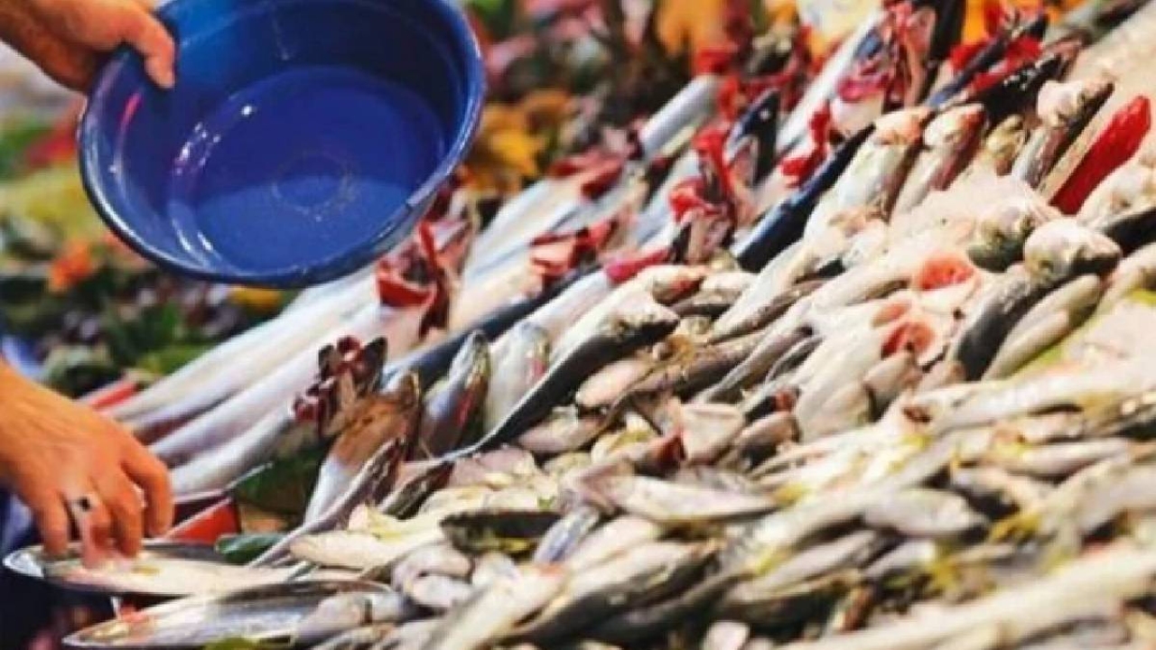 Bu balık ölümden başka her şeye çare! Faydalarını duyan tezgaha koşuyor: Balıkçılar resmen yok satıyor