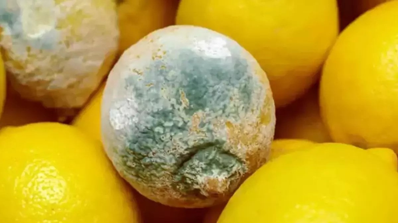 Limon nasıl saklanmalı? Meğer hep yanlış yapıyormuşuz! İşte limonu aylarca bozulmadan muhafaza etme yöntemi