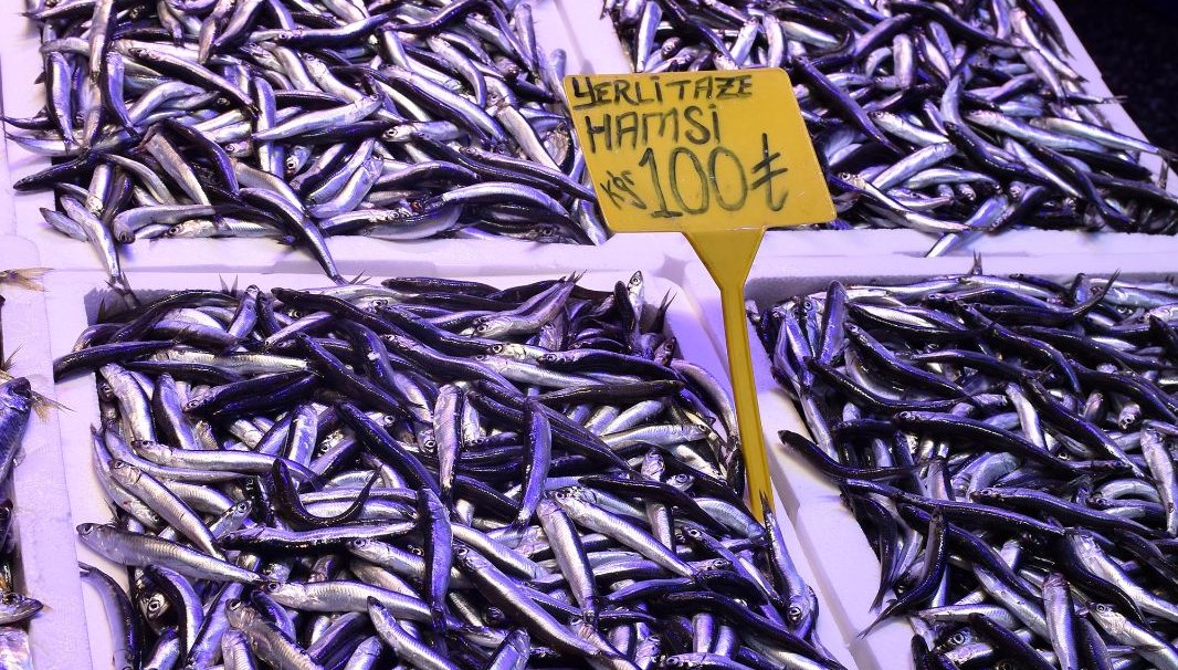 Hamsiye fırtına etkisi: Fiyatlar daha da uçtu