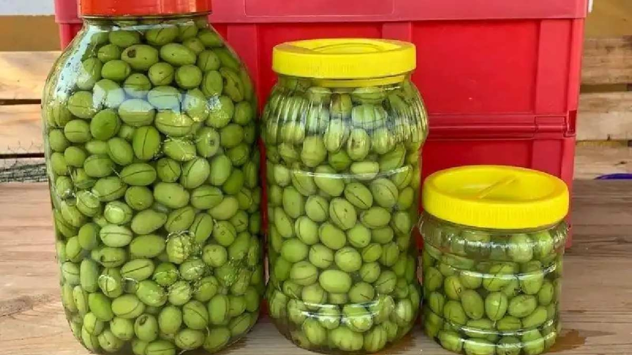 Zeytin kutusuna bir kaşık ekleyin mucizeye şahit olun! Şarküterilerin gizli yöntemini açıklıyoruz