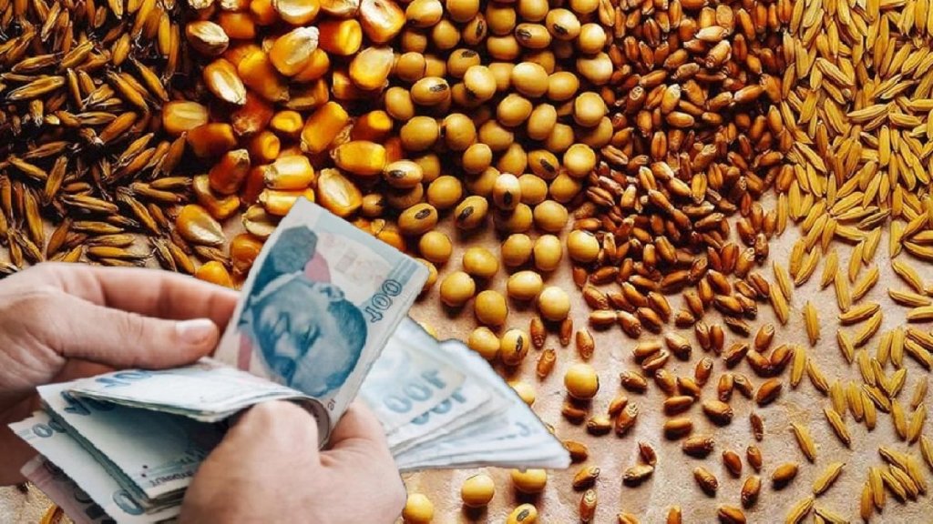 Ekmeklik Buğday Düşüşte, Mısır, Arpa ve Yulaf Fiyatları Artıyor: 11 Şubat Güncel Hububat Tutarları