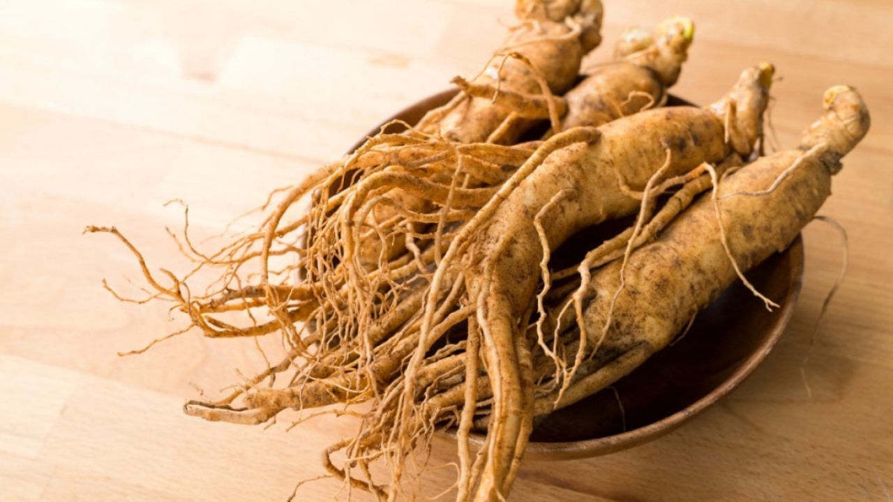 Ginseng Ne İşe Yarar?