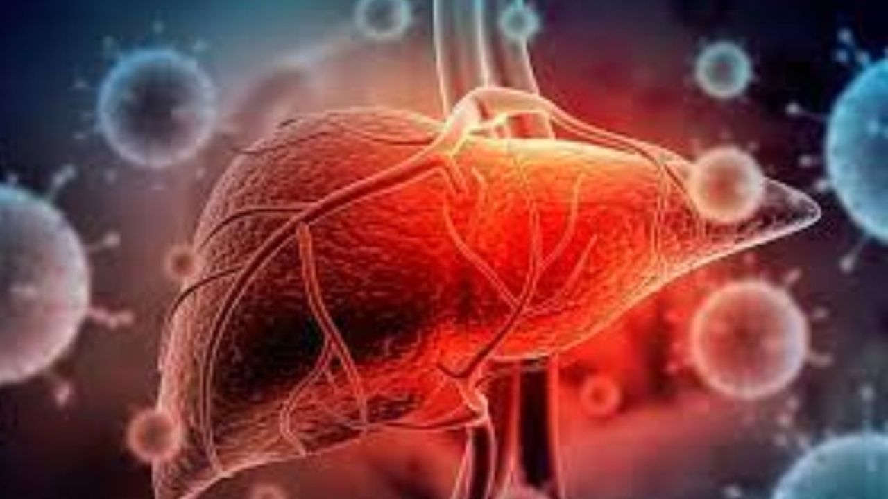 Hepatit A testi nedir?