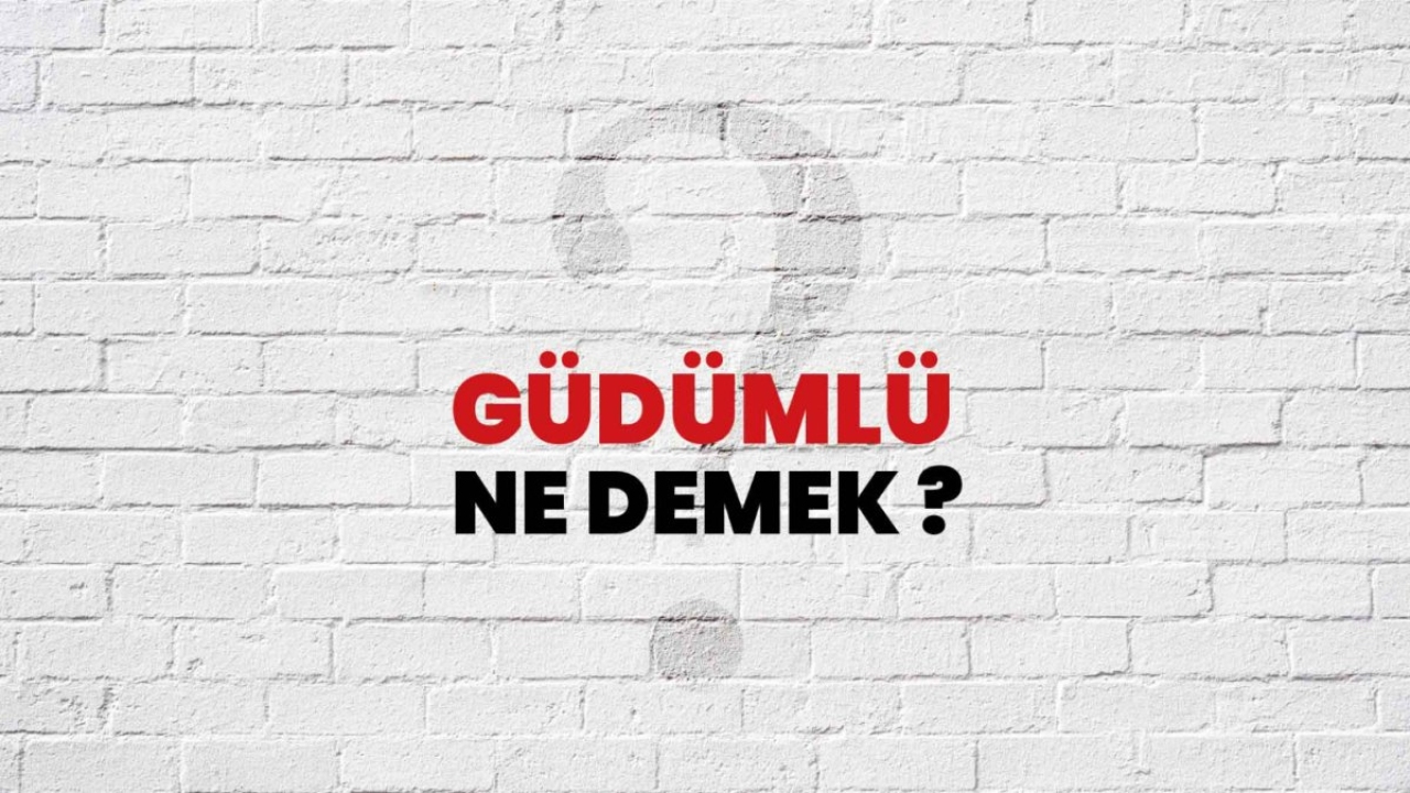 Güdümlü Ne Demek?