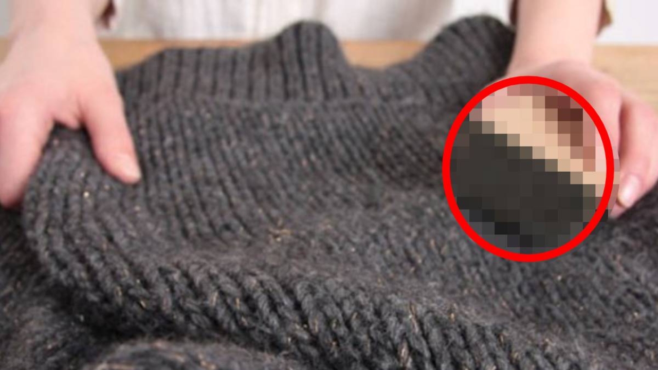 Kazaktaki tüyleri almanın etkili ve ucuz yolu! Kumaşa da asla zarar vermiyor: Bu yöntemle makine gibi pıt pıt 