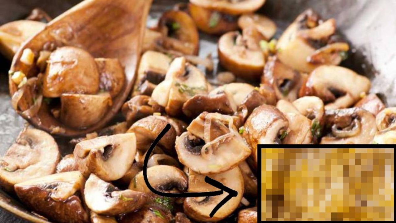 Zehirleme ihtimali mantardan bile yüksek! Bir gece bile tezgahta bırakmayın: O masum yiyecek ölüme kadar götür