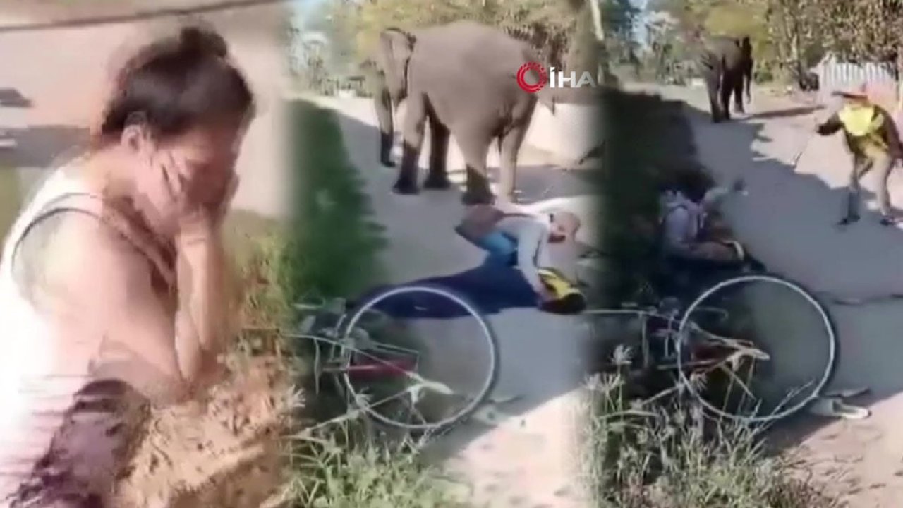 Filin sahibinin üzerine oturarak öldürdüğü anlar kameraya yansıdı!