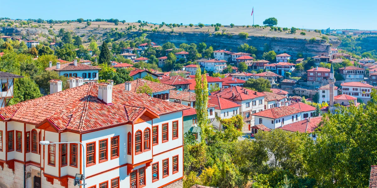 İlber Ortaylı oraya