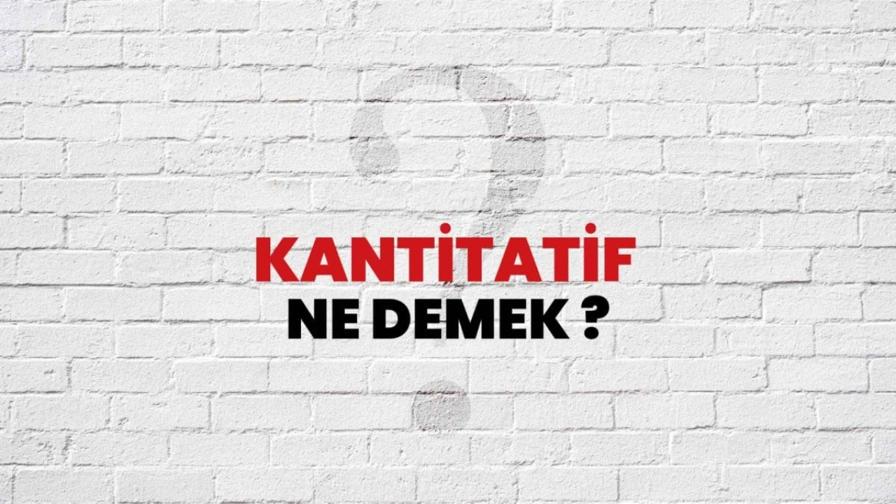Kantitatif Ne Demek?