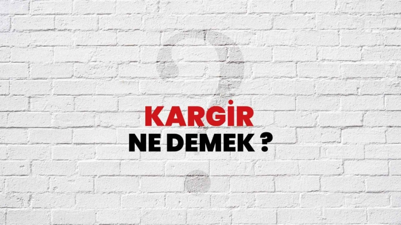Kargir: Tarihi ve Modern Bir Yapı Tekniği