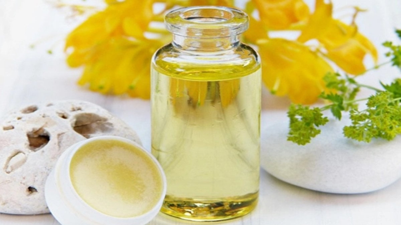 Karınca Yumurtası Yağı: Doğal Bir Mucize