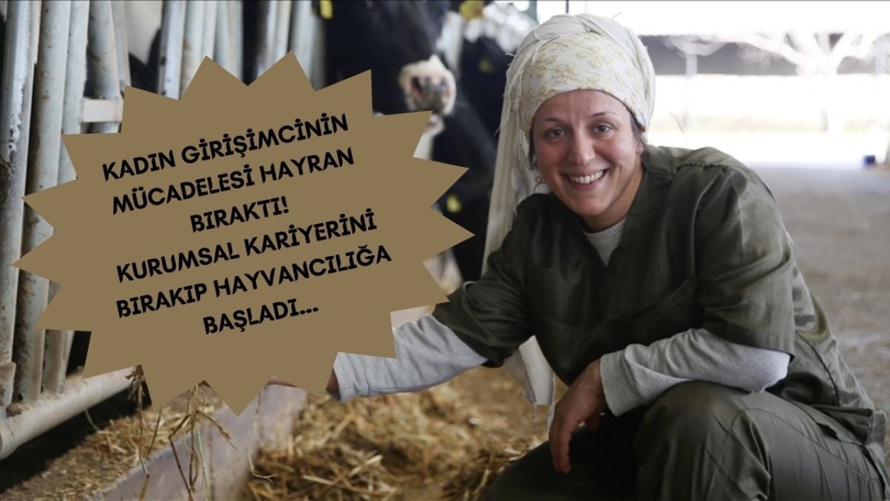 Plazadaki işini bıraktı Manisa'da hayvancılığa başladı! O iş uğruna Lüksemburg'u reddetti: Hayatını gören imre