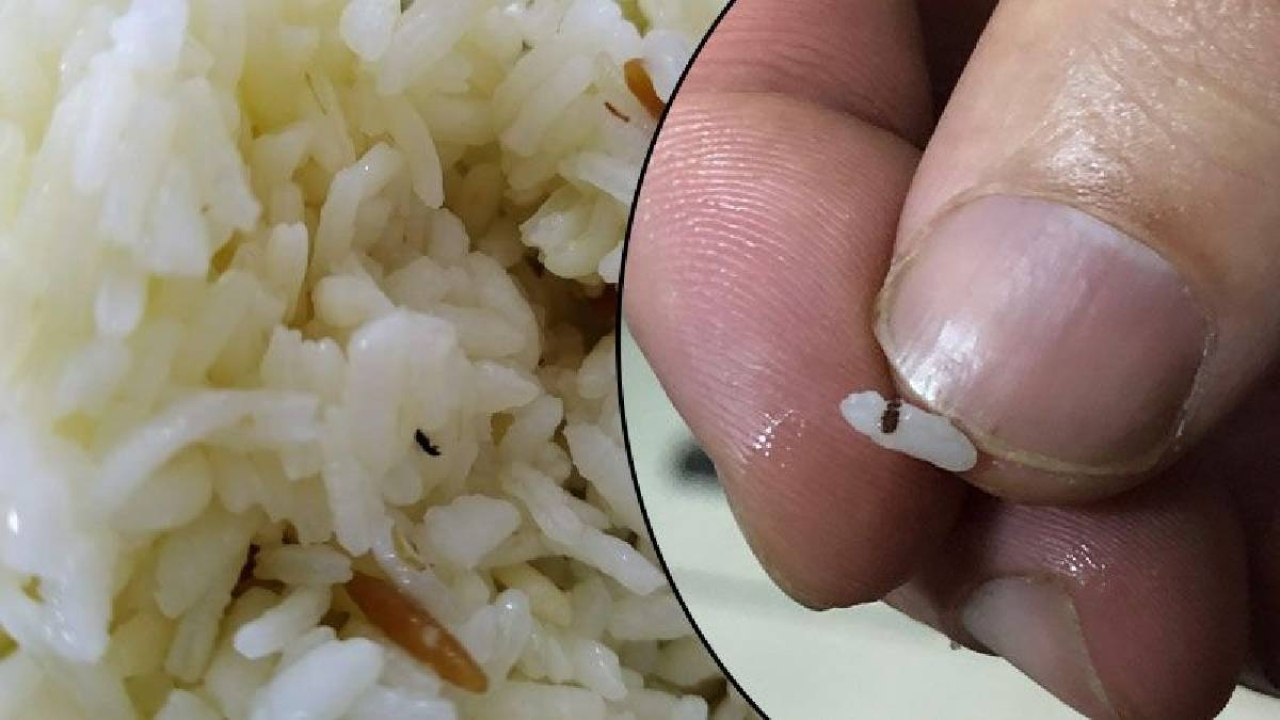 Dolaplardan tek bir güve bile çıkmayacak! Bakliyat, makarna, kıyafet… Güve yanından geçemeyecek