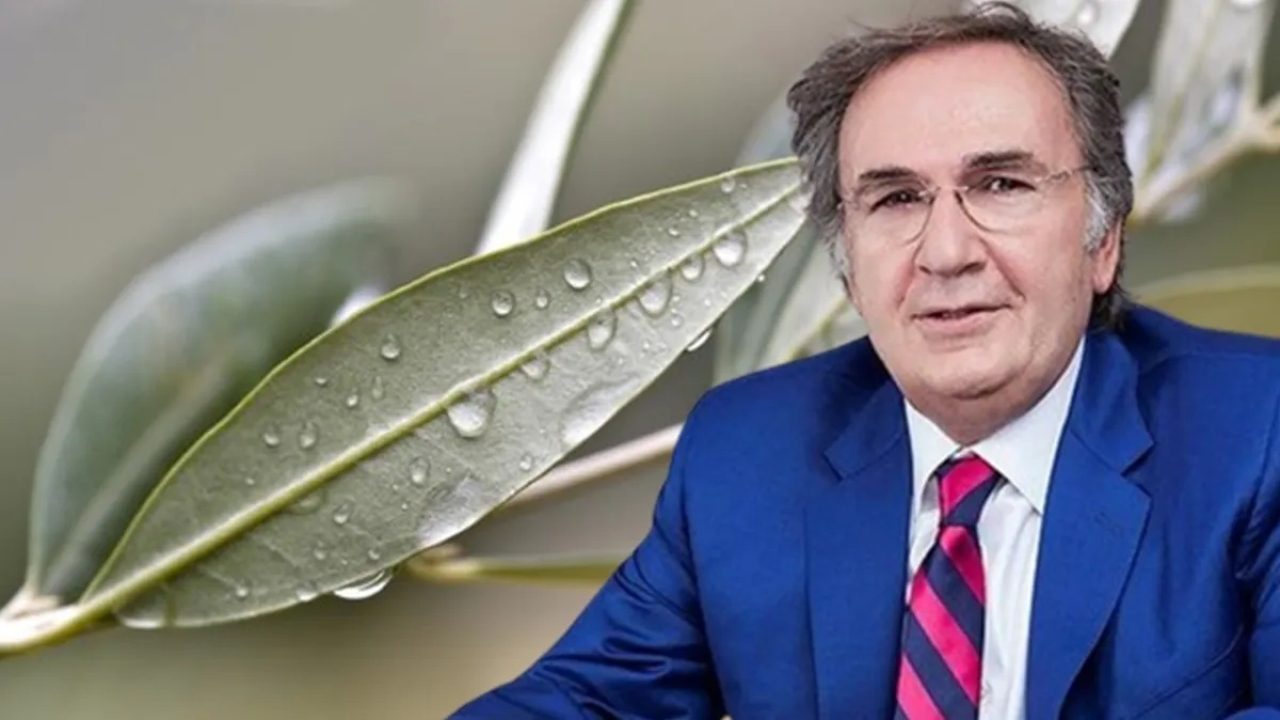Bu üç doğal malzemeyle yaz mevsimine formda girin! Dr. İbrahim Saraçoğlu'nun tavsiyesi