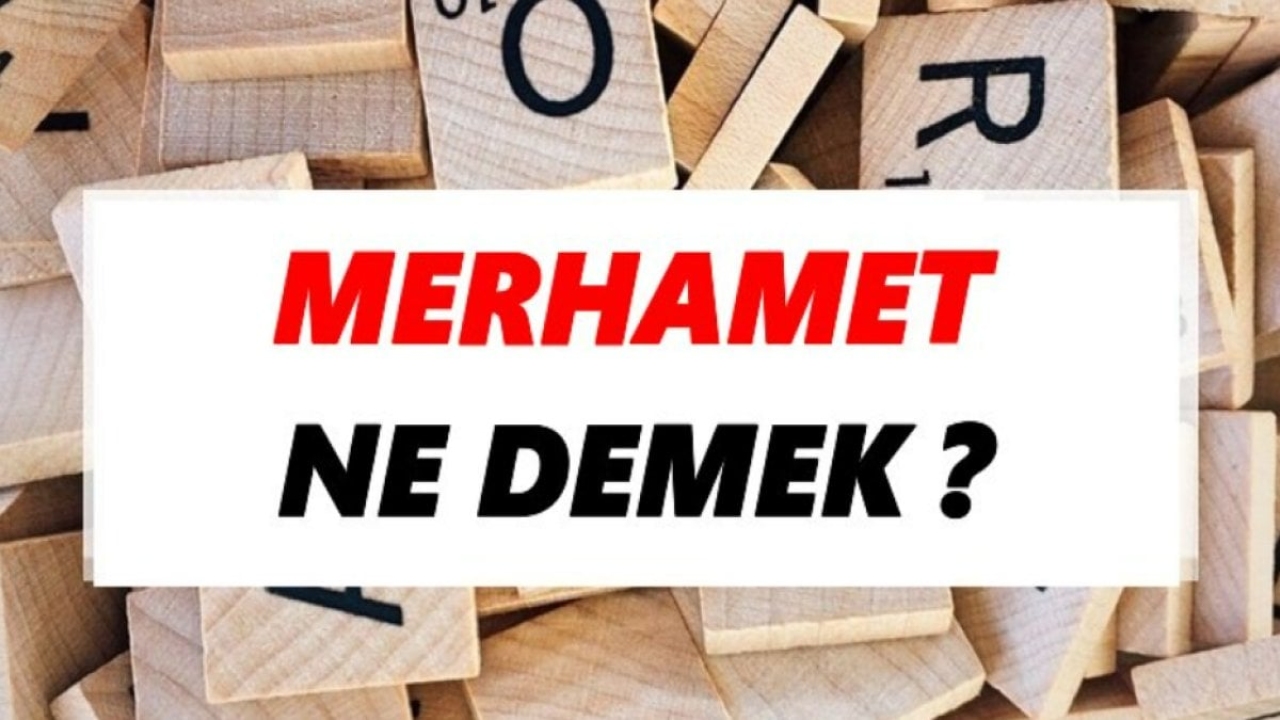 Merhamet Ne Demek?