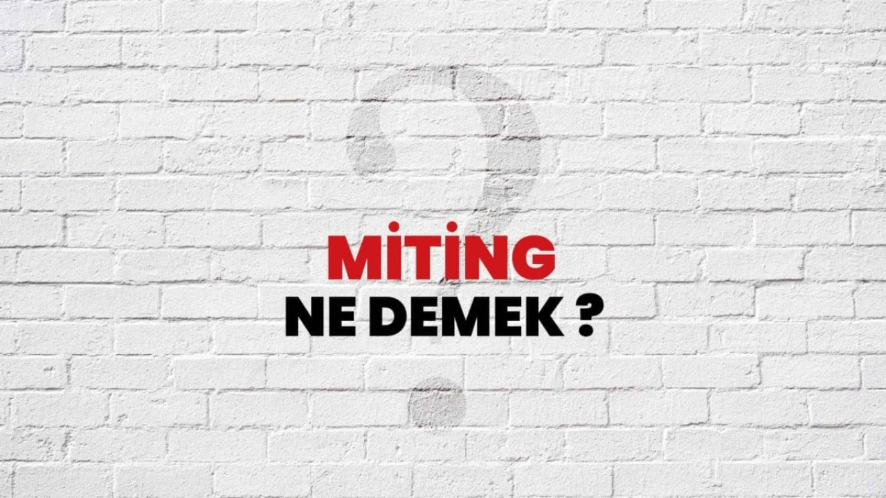 Miting Ne Demek?